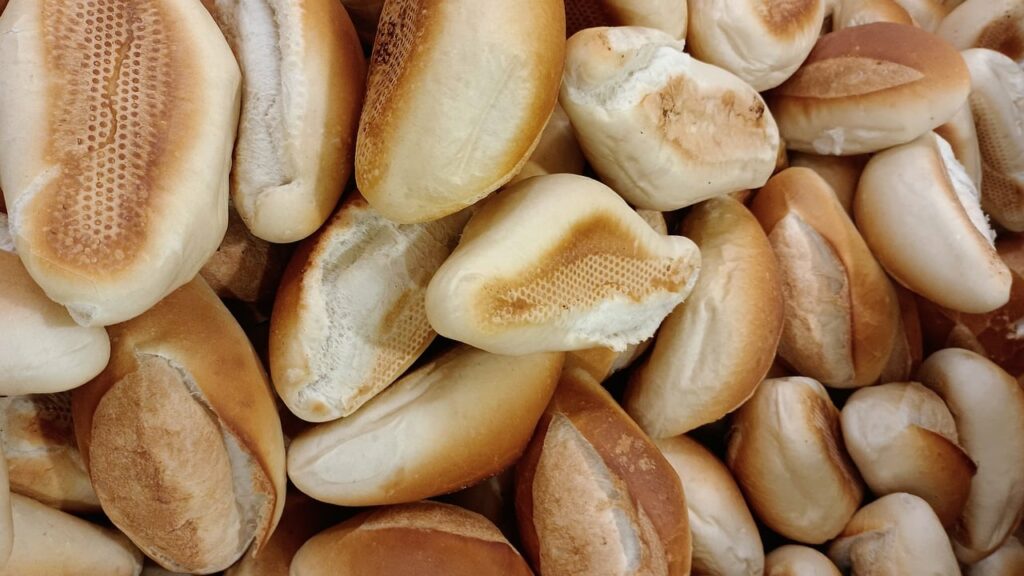 setki porzuconych bułek w lesie na mazowszu